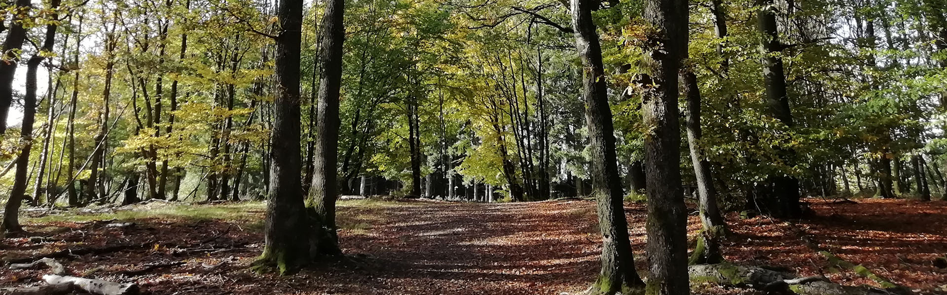 Forstbetriebsgemeinschaft Herscheid